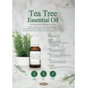 Ithaca ITACA Tea Tree Essential Oil 5ml / 이타카(ITACA) 티트리 에센셜 오일 5ml