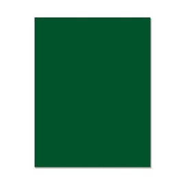 Hero Arts PS341 Hero Hues Pine 8.5 x 11 Cardstock