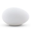 BESTPYSANKY Blown Out Hollow Real Goose Eggshell, Empty Cleaned-Out ...