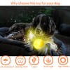 LaRoo LED Dog Ball, Dog Toys Silicon Glowing LED Dog