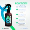 Magneshot | MagneOil Aceite de Magnesio puro de Zechstein -