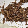 30pcs Red Japanese Maple Tree Seeds (Acer Palmatum Atropurpureum) -