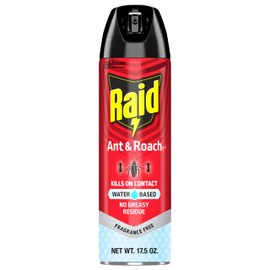Raid Ant & Roach Aerosol Bug Spray, Water-Based Formula Insecticide With No Greasy Residue, Kills On Contact, 17.5 oz