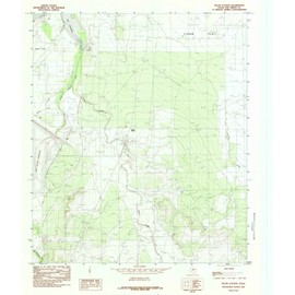 Texas Maps - 1984 Pecan Station, TX - USGS Historical Topographic Wall Art - 37in x 44in, Large Wall Art Map