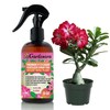 Gardenera Proffesional Desert Rose Spray Fertilizer Mist for Home Gardening