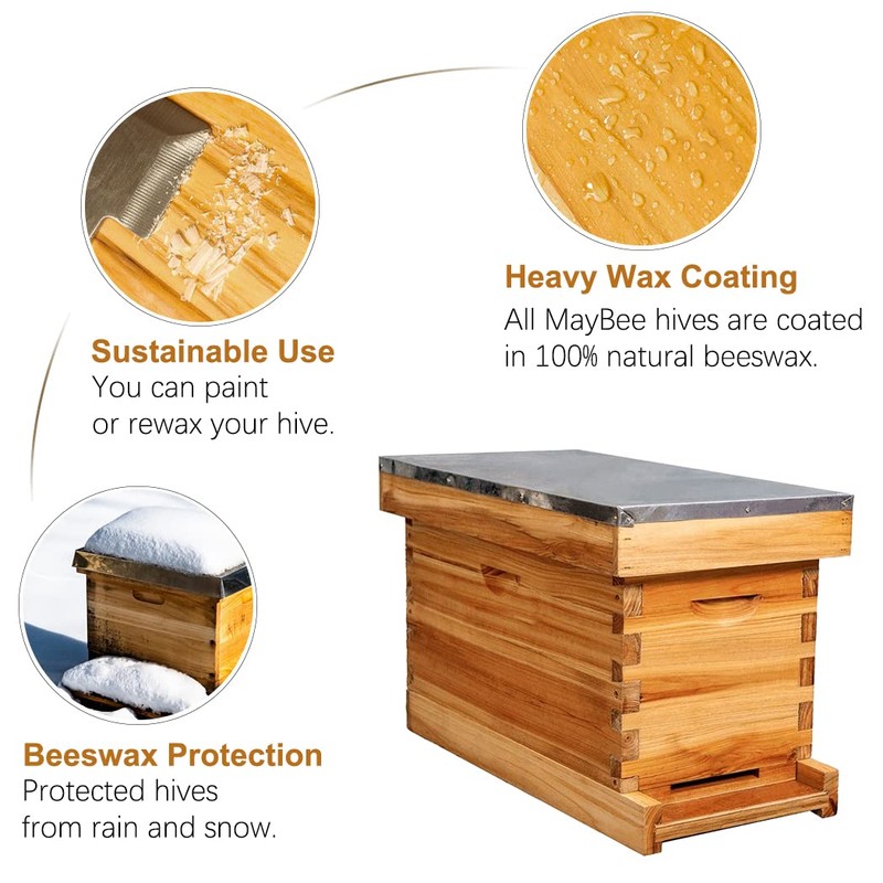 MayBee 5-Frame Nuc Beehive for Bees Complete Bee Hive Box
