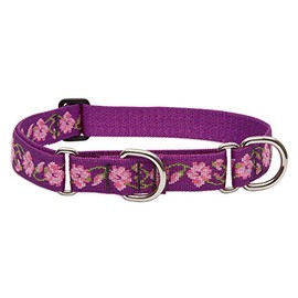 LupinePet Originals 1" Rose Garden 19-27" Martingale Collar for Large Dogs