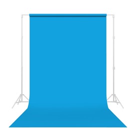 Savage Seamless Paper Photography Backdrop - Color #31 Blue Jay, Size 86 Inches Wide x 36 Feet Long, Backdrop for YouTube Videos, Streaming, Interviews and Portraits - Made in USA