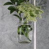 Eastland® Small Mason Jar with Handle Glass Set of 6