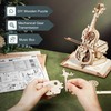 ROBOTIME 3D Puzzle Magic Cello Wooden Music Box Model Kits