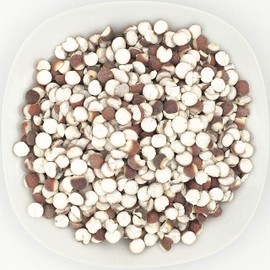 Greenlike Qian Shi Euryale Ferox Salisb Dried Fox Nuts 芡实 (8oz)