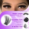 ONLY 14MM Lash Clusters 100D Individual Lashes 240Pcs Cluster Eyelash