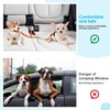 SlowTon Dog Seat Belt, Double Dog Seatbelt Adjustable Vehicle Safety
