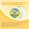 ruifengsheng Helichrysum Balm - 2.5oz, Helichrysum Gymnocephalum, Shea Butter, Beeswax,