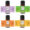 Wild Essentials Rainbow Cloud Car Vent Essential Oil Diffuser Kit