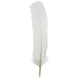 Oboe Cleaning for Large Feathers