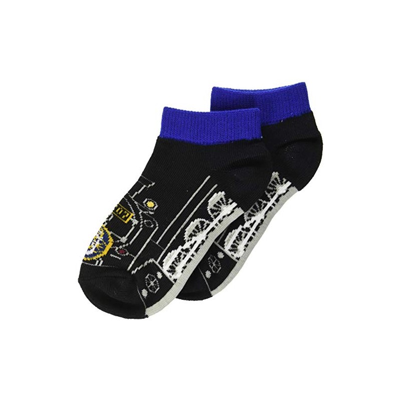 Eki Railway Tobu Railway C11207 SL Taiki Railway Socks