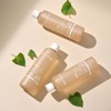 Blanc Nature 9x highly concentrated Houttuynia cordata toner 300ml /