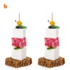 Urbanstrive Sturdy Safe Toothpick Holder with 800 Natural Wood Toothpicks