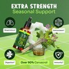 MAJU CV90 Oil of Oregano (2oz) - Seasonal Wellness Support,