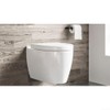 Zinc Plated Fixing Screws Set in Pairs Wall Mounted Toilet