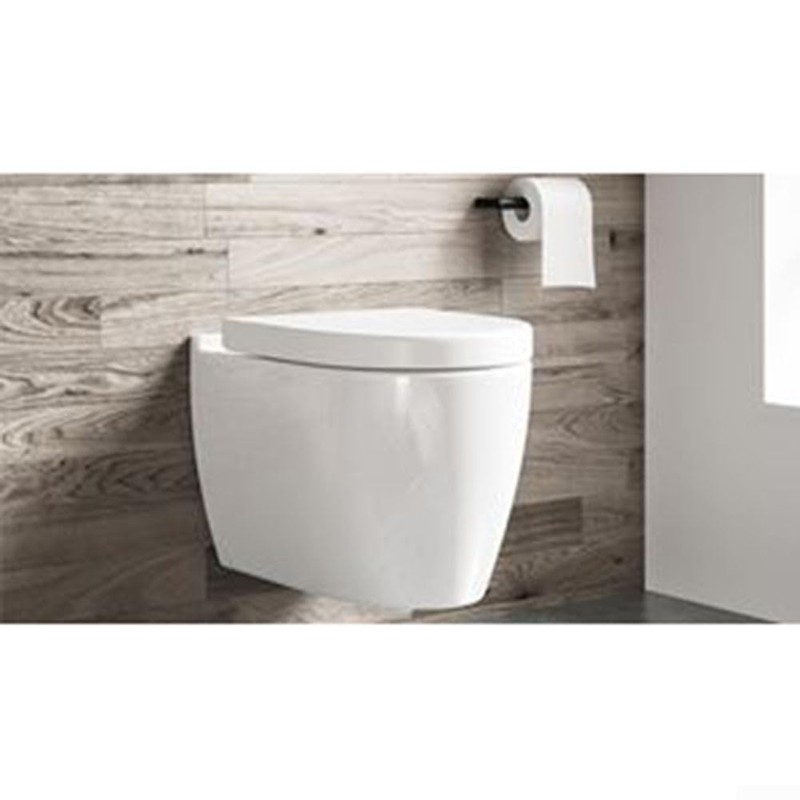 Zinc Plated Fixing Screws Set in Pairs Wall Mounted Toilet