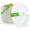 FPN Oval Plates Disposable (250, Large) Eco-Friendly Sugarcane – Biodegradable,