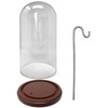 Clear Glass Display Dome with Metal Hook & Wood Base