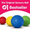 Edushape The Original Sensory Ball for Baby - 7” Solid