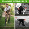 Weed Puller Tool, Stand-Up Weeding Tool with Long Handle,4-Claw Steel
