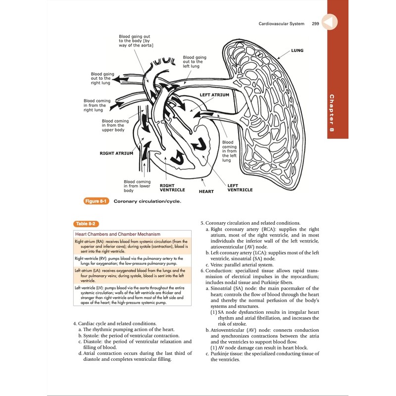 National Occupational Therapy Certification Exam Review and Study Guide, 10th
