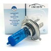 Inion - Xenon style bulbs, halogen bulb with 60/55 W,
