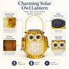 Solar Hanging Owl Lantern – IP44 Waterproof Metal Garden Light