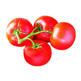 Park Seed Celebrity Hybrid Tomato Seeds, Includes 30 Seeds in a Pack