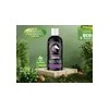 2 Shampoos Extracto Cola De Caballo+crema Capilar Keratina