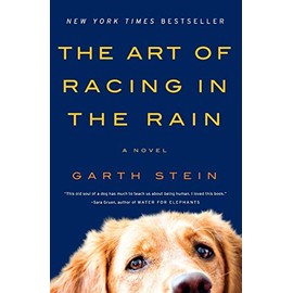 The Art of Racing in the Rain: A Novel