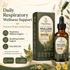 Origin Drops Mullein, Mullein Drops for Lungs, 2 Fl Oz,