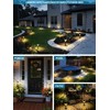 SOLPEX Solar Pathway Lights Garden Decor for Yard, Garden Lights