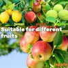 Adjustable Fruit Picker with Telescoping Handle and Basket, 5.5ft -