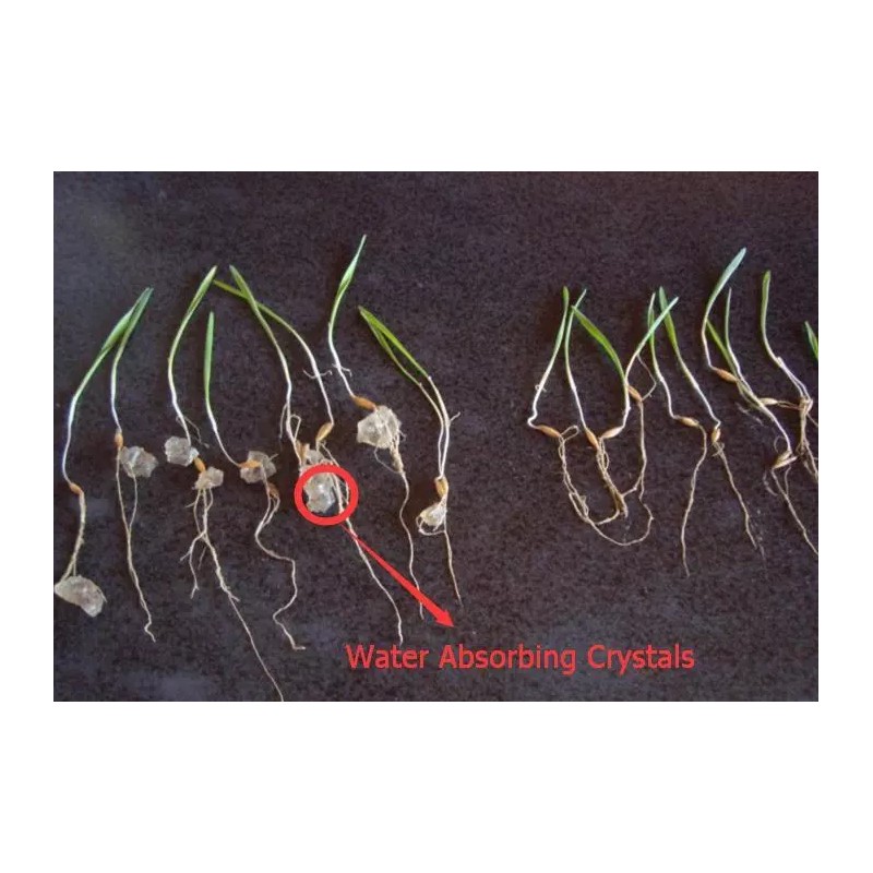 Seed Ranch Water Absorbing Polymer Crystals - Soil Moist -