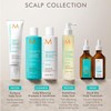 Moroccanoil Purifying Pre-Wash Scalp Scrub