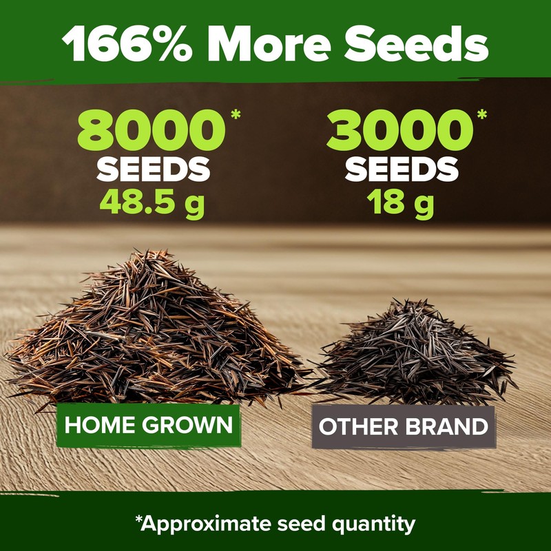 HOME GROWN Cosmos Flower Seeds Bulk Pack for 2025 (1.8