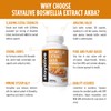 StayAlive Boswellia Serrata Extract Capsules with AKBA, 12000mg Equivalent with