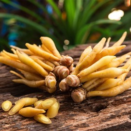 [Chamgoods] Finger root pills 500g 3 packs / [참굿즈] 핑거루트 환 500g 3팩