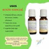 Punto Vital Aceite Esencial Menta, 100% Puro, Aromaterapia, 15ml