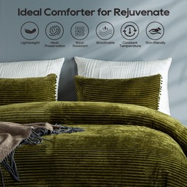 Olive Green Twin Boho Reversible Comforter Set, 2pcs Ball Pom Fringe Aesthetic Fir Green Striped Velvet Comforter Set Quilt with Pom Poms, Modern Elegant Cozy Fluffy Bedding Set for Women Men Teen