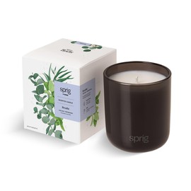 Sprig by Kohler Breathe Aromatherapy Candle with Eucalyptus and Mint, 100% Natural Soy-Coconut Wax, Cooling and Refreshing Scent, Gift for Holidays, 8 oz