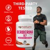 AG nature Berberina HCL 500 mg 120 Tablets - Natural