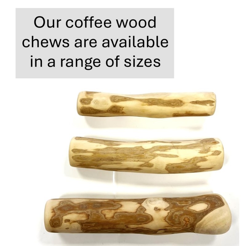 Medium Coffee Wood Chew Stick (Pack of 3) - 100%