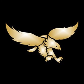 AMA SHOP Sticker PVC Prespaced Eagle mod.15 color Gold | Sticker for Helmet, Motorcycle, Camper, Boat | autoTuning |